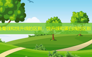 鱼骨线和悦升线的区别，悦升线和蛋白线的区别