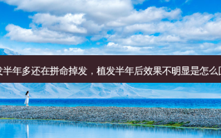 植发半年多还在拼命掉发，植发半年后效果不明显是怎么回事