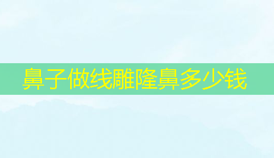 鼻子做线雕隆鼻多少钱-第1张图片-南山整形网 鼻子做线雕隆鼻多少钱-第1张图片-南山整形网