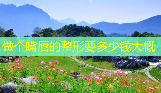 做个嘴唇的整形要多少钱大概-第1张图片-南山整形网