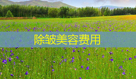 除皱美容费用-第1张图片-南山整形网 除皱美容费用-第1张图片-南山整形网
