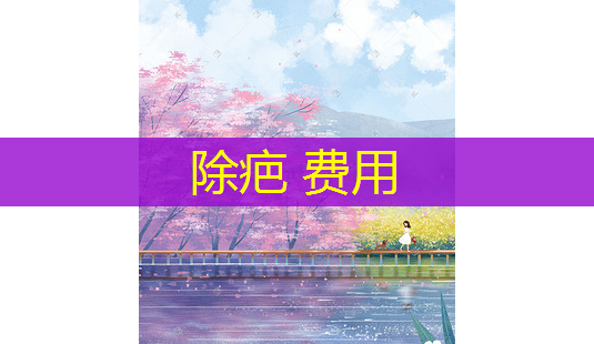 除疤 费用-第1张图片-南山整形网 除疤 费用-第1张图片-南山整形网