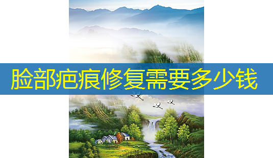 脸部疤痕修复需要多少钱-第1张图片-南山整形网 脸部疤痕修复需要多少钱-第1张图片-南山整形网