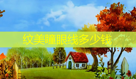 纹美瞳眼线多少钱-第1张图片-南山整形网