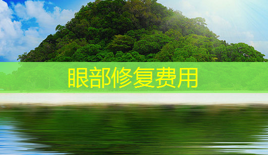 眼部修复费用-第1张图片-南山整形网 眼部修复费用-第1张图片-南山整形网