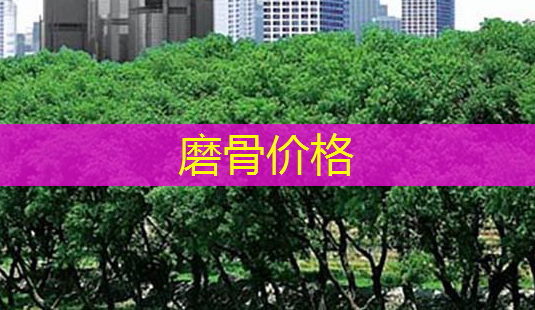 磨骨价格-第1张图片-南山整形网 磨骨价格-第1张图片-南山整形网