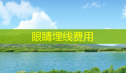 眼睛埋线费用-第1张图片-南山整形网 眼睛埋线费用-第1张图片-南山整形网