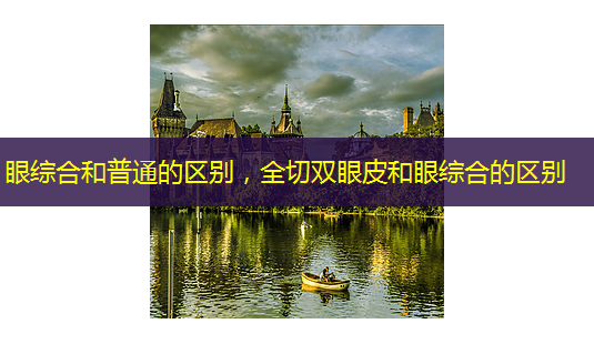 眼综合和普通的区别,全切双眼皮和眼综合的区别-第1张图片-南山整形网 眼综合和普通的区别,全切双眼皮和眼综合的区别-第1张图片-南山整形网