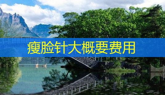 瘦脸针大概要费用-第1张图片-南山整形网 瘦脸针大概要费用-第1张图片-南山整形网