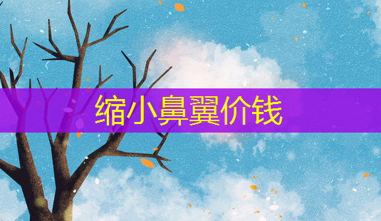 缩小鼻翼价钱-第1张图片-南山整形网 缩小鼻翼价钱-第1张图片-南山整形网