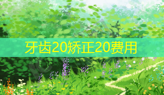 牙齿20矫正20费用-第1张图片-南山整形网 牙齿20矫正20费用-第1张图片-南山整形网