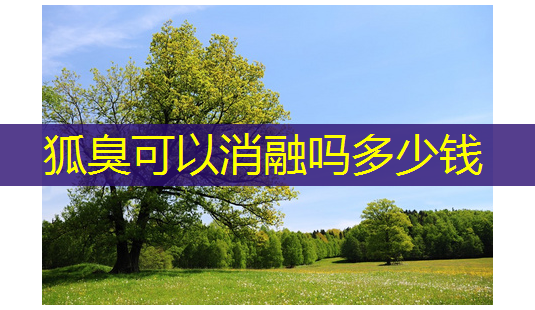 狐臭可以消融吗多少钱-第1张图片-南山整形网 狐臭可以消融吗多少钱-第1张图片-南山整形网