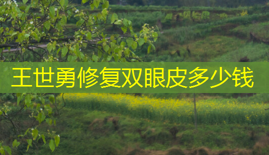 王世勇修复双眼皮多少钱-第1张图片-南山整形网 王世勇修复双眼皮多少钱-第1张图片-南山整形网