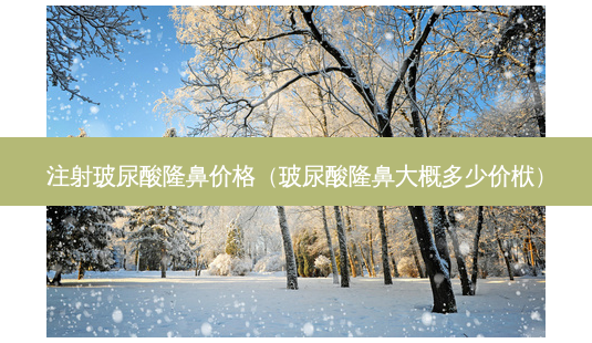 注射玻尿酸隆鼻价格(玻尿酸隆鼻大概多少价栿)-第1张图片-南山整形网 注射玻尿酸隆鼻价格(玻尿酸隆鼻大概多少价栿)-第1张图片-南山整形网