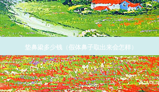 垫鼻梁多少钱(假体鼻子取出来会怎样)-第1张图片-南山整形网 垫鼻梁多少钱(假体鼻子取出来会怎样)-第1张图片-南山整形网