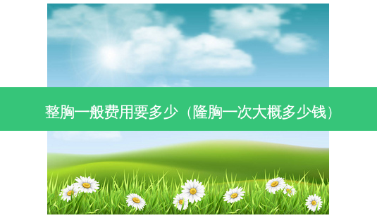 整胸一般费用要多少(隆胸一次大概多少钱)-第1张图片-南山整形网 整胸一般费用要多少(隆胸一次大概多少钱)-第1张图片-南山整形网