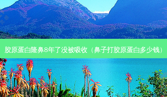 胶原蛋白隆鼻8年了没被吸收(鼻子打胶原蛋白多少钱)-第1张图片-南山整形网 胶原蛋白隆鼻8年了没被吸收(鼻子打胶原蛋白多少钱)-第1张图片-南山整形网