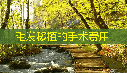 毛发移植的手术费用-第1张图片-南山整形网 毛发移植的手术费用-第1张图片-南山整形网