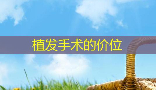 植发手术的价位-第1张图片-南山整形网 植发手术的价位-第1张图片-南山整形网