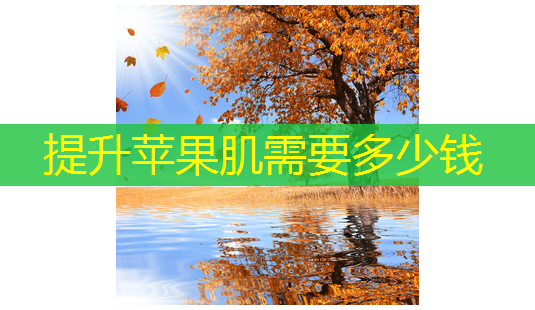 提升苹果肌需要多少钱-第1张图片-南山整形网 提升苹果肌需要多少钱-第1张图片-南山整形网