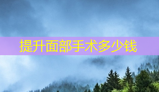 提升面部手术多少钱-第1张图片-南山整形网 提升面部手术多少钱-第1张图片-南山整形网
