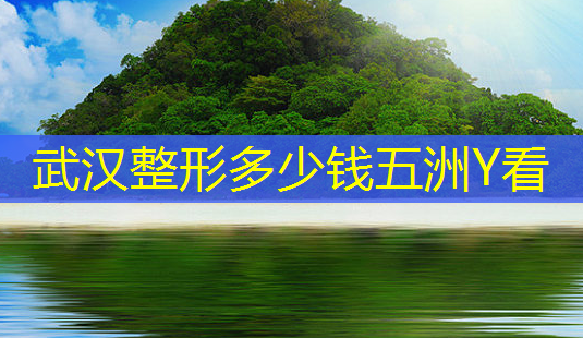 武汉整形多少钱五洲Y看-第1张图片-南山整形网 武汉整形多少钱五洲Y看-第1张图片-南山整形网
