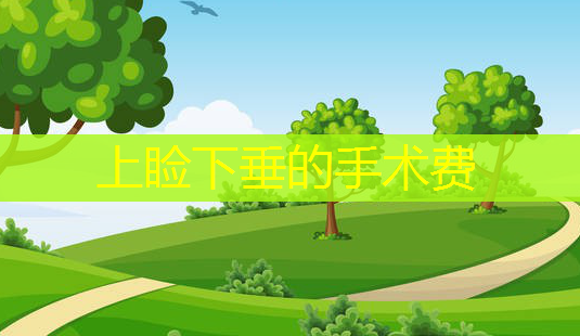 上睑下垂的手术费-第1张图片-南山整形网 上睑下垂的手术费-第1张图片-南山整形网