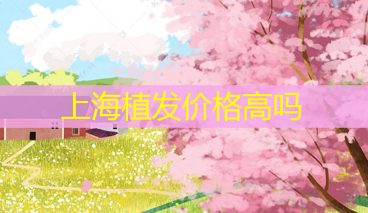 上海植发价格高吗-第1张图片-南山整形网 上海植发价格高吗-第1张图片-南山整形网