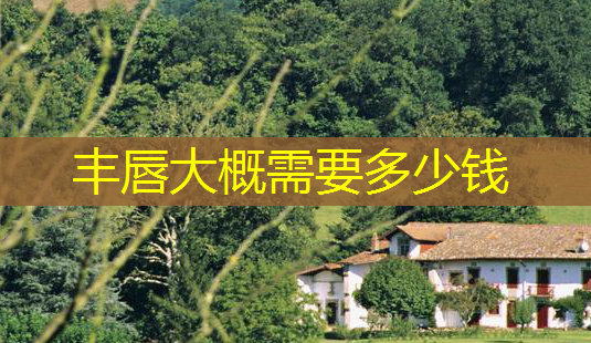 丰唇大概需要多少钱-第1张图片-南山整形网 丰唇大概需要多少钱-第1张图片-南山整形网