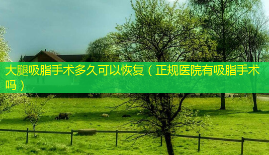 大腿吸脂手术多久可以恢复(正规医院有吸脂手术吗)-第1张图片-南山整形网 大腿吸脂手术多久可以恢复(正规医院有吸脂手术吗)-第1张图片-南山整形网