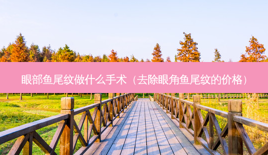 眼部鱼尾纹做什么手术(去除眼角鱼尾纹的价格)-第1张图片-南山整形网 眼部鱼尾纹做什么手术(去除眼角鱼尾纹的价格)-第1张图片-南山整形网