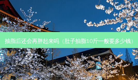 抽脂后还会再胖起来吗(肚子抽脂10斤一般要多少钱)-第1张图片-南山整形网 抽脂后还会再胖起来吗(肚子抽脂10斤一般要多少钱)-第1张图片-南山整形网