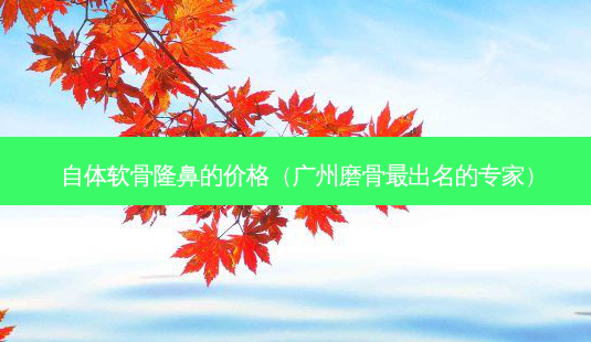自体软骨隆鼻的价格(广州磨骨最出名的专家)-第1张图片-南山整形网 自体软骨隆鼻的价格(广州磨骨最出名的专家)-第1张图片-南山整形网