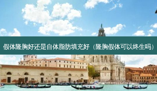 假体隆胸好还是自体脂肪填充好(隆胸假体可以终生吗)-第1张图片-南山整形网 假体隆胸好还是自体脂肪填充好(隆胸假体可以终生吗)-第1张图片-南山整形网
