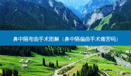 鼻中隔弯曲手术图解(鼻中隔偏曲手术痛苦吗)-第1张图片-南山整形网 鼻中隔弯曲手术图解(鼻中隔偏曲手术痛苦吗)-第1张图片-南山整形网