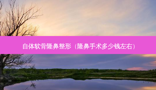 自体软骨隆鼻整形(隆鼻手术多少钱左右)-第1张图片-南山整形网 自体软骨隆鼻整形(隆鼻手术多少钱左右)-第1张图片-南山整形网