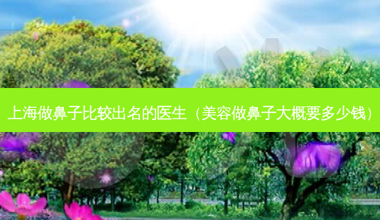 上海做鼻子比较出名的医生(美容做鼻子大概要多少钱)-第1张图片-南山整形网 上海做鼻子比较出名的医生(美容做鼻子大概要多少钱)-第1张图片-南山整形网