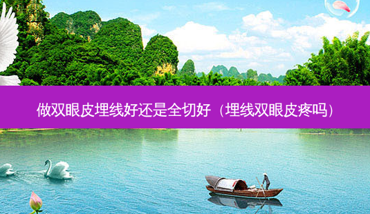 做双眼皮埋线好还是全切好(埋线双眼皮疼吗)-第1张图片-南山整形网 做双眼皮埋线好还是全切好(埋线双眼皮疼吗)-第1张图片-南山整形网