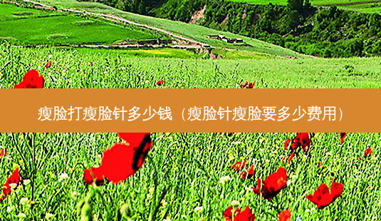 瘦脸打瘦脸针多少钱(瘦脸针瘦脸要多少费用)-第1张图片-南山整形网 瘦脸打瘦脸针多少钱(瘦脸针瘦脸要多少费用)-第1张图片-南山整形网