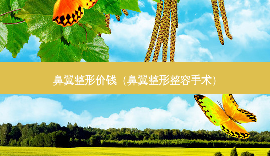 鼻翼整形价钱(鼻翼整形整容手术)-第1张图片-南山整形网 鼻翼整形价钱(鼻翼整形整容手术)-第1张图片-南山整形网