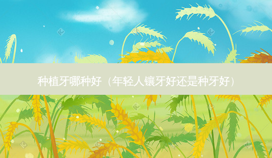 种植牙哪种好(年轻人镶牙好还是种牙好)-第1张图片-南山整形网 种植牙哪种好(年轻人镶牙好还是种牙好)-第1张图片-南山整形网
