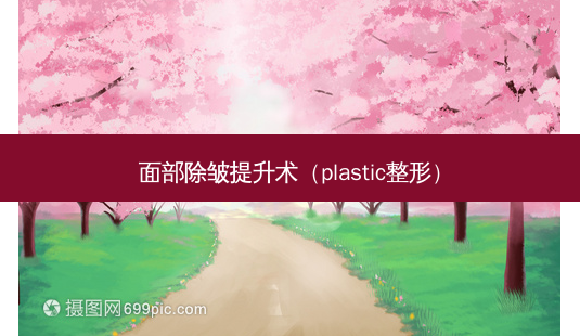面部除皱提升术(plastic整形)-第1张图片-南山整形网 面部除皱提升术(plastic整形)-第1张图片-南山整形网
