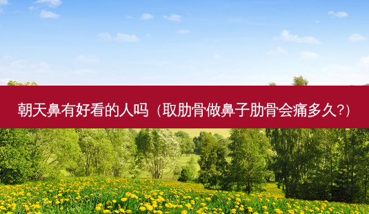 朝天鼻有好看的人吗(取肋骨做鼻子肋骨会痛多久?)-第1张图片-南山整形网 朝天鼻有好看的人吗(取肋骨做鼻子肋骨会痛多久?)-第1张图片-南山整形网