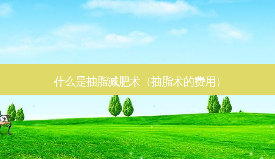 什么是抽脂减肥术(抽脂术的费用)-第1张图片-南山整形网 什么是抽脂减肥术(抽脂术的费用)-第1张图片-南山整形网