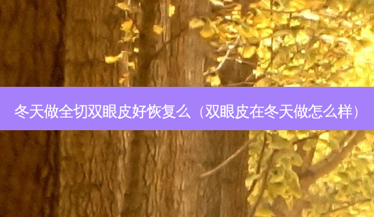 冬天做全切双眼皮好恢复么(双眼皮在冬天做怎么样)-第1张图片-南山整形网 冬天做全切双眼皮好恢复么(双眼皮在冬天做怎么样)-第1张图片-南山整形网