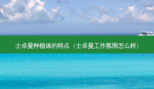 士卓曼种植体的特点(士卓曼工作氛围怎么样)-第1张图片-南山整形网 士卓曼种植体的特点(士卓曼工作氛围怎么样)-第1张图片-南山整形网