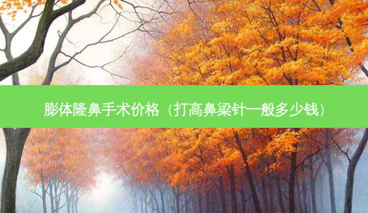 膨体隆鼻手术价格(打高鼻梁针一般多少钱)-第1张图片-南山整形网 膨体隆鼻手术价格(打高鼻梁针一般多少钱)-第1张图片-南山整形网