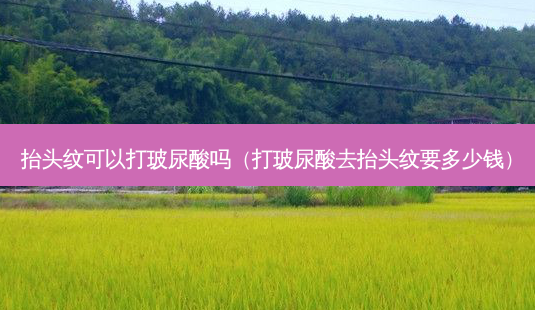 抬头纹可以打玻尿酸吗(打玻尿酸去抬头纹要多少钱)-第1张图片-南山整形网 抬头纹可以打玻尿酸吗(打玻尿酸去抬头纹要多少钱)-第1张图片-南山整形网