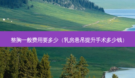整胸一般费用要多少( *** 悬吊提升手术多少钱)-第1张图片-南山整形网 整胸一般费用要多少( *** 悬吊提升手术多少钱)-第1张图片-南山整形网