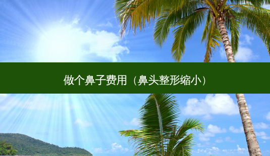 做个鼻子费用(鼻头整形缩小)-第1张图片-南山整形网 做个鼻子费用(鼻头整形缩小)-第1张图片-南山整形网
